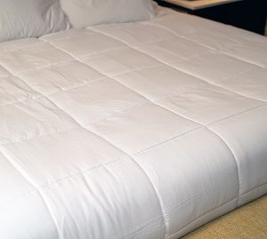 Golden Memory Down Alternative Comforter/Duvet Insert